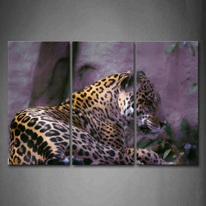 Jaguar Lie On Land Near Rocks Wall Art Painting Pictures Print On Canvas Animal The Picture For Home Modern Decoration 