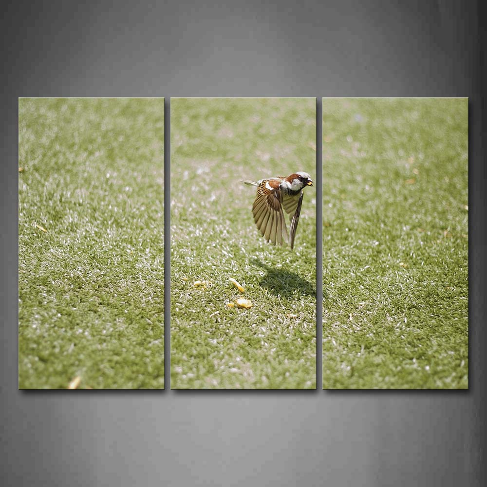 Bird Fly Over Lawn Food Wall Art Painting The Picture Print On Canvas Animal Pictures For Home Decor Decoration Gift 