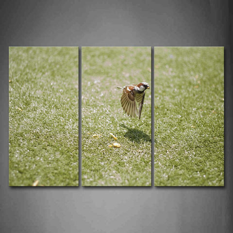 Bird Fly Over Lawn Food Wall Art Painting The Picture Print On Canvas Animal Pictures For Home Decor Decoration Gift 