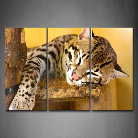 Yellow Orange Ocelot Bend Over On Wood Sleep Wall Art Painting Pictures Print On Canvas Animal The Picture For Home Modern Decoration 