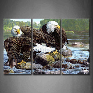 Two Eagles Stand On Stones River Wall Art Painting Pictures Print On Canvas Animal The Picture For Home Modern Decoration 