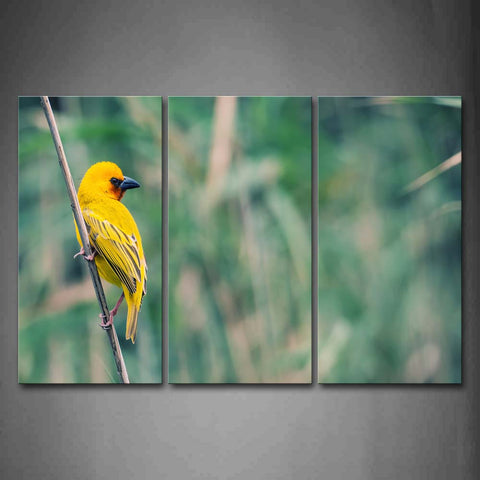 Yellow Bird Climb On Branch Wall Art Painting The Picture Print On Canvas Animal Pictures For Home Decor Decoration Gift 