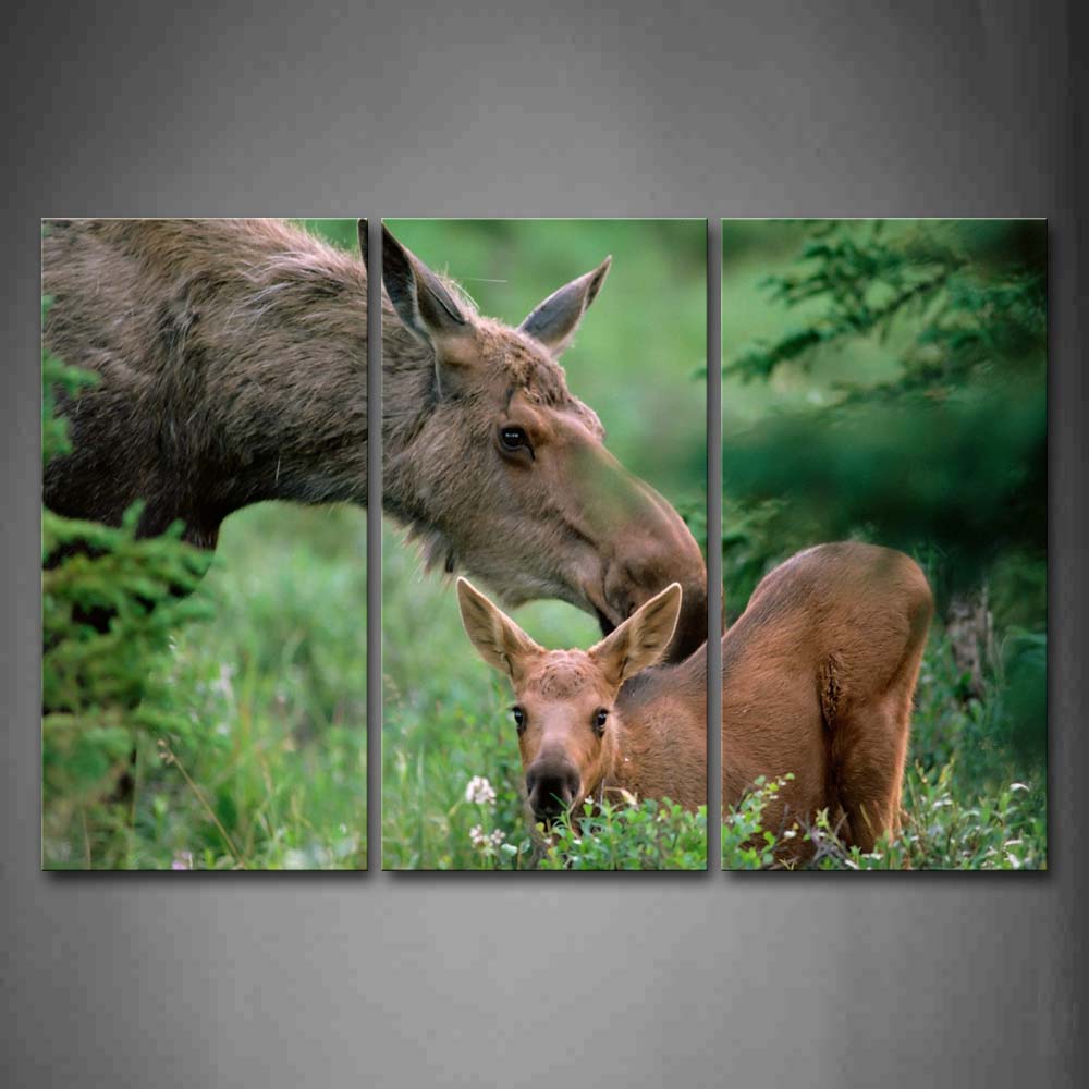 Mother Moose And Cub In Thick Grass Tree Wall Art Painting Pictures Print On Canvas Animal The Picture For Home Modern Decoration 