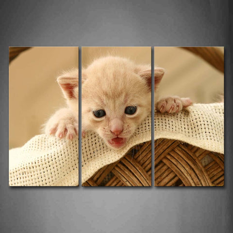 Yellow Cat Want To Climb Out Basket  Wall Art Painting The Picture Print On Canvas Animal Pictures For Home Decor Decoration Gift 