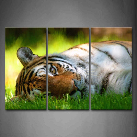 Tiger Lie On Green Grass Wall Art Painting The Picture Print On Canvas Animal Pictures For Home Decor Decoration Gift 