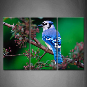 Blue Bird Stop On Branch  Wall Art Painting The Picture Print On Canvas Animal Pictures For Home Decor Decoration Gift 