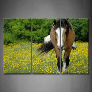 Horse Walk On Yellow Anthemy In Front Of Forest Wall Art Painting Pictures Print On Canvas Animal The Picture For Home Modern Decoration 