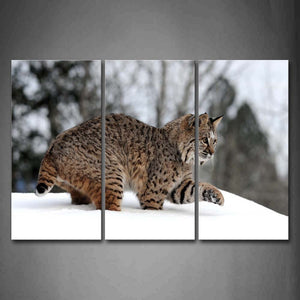 Lynx Play On Snowfield Tree Wall Art Painting The Picture Print On Canvas Animal Pictures For Home Decor Decoration Gift 