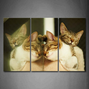 Two Cats In Blanket Mirror Symmetrical Wall Art Painting Pictures Print On Canvas Animal The Picture For Home Modern Decoration 