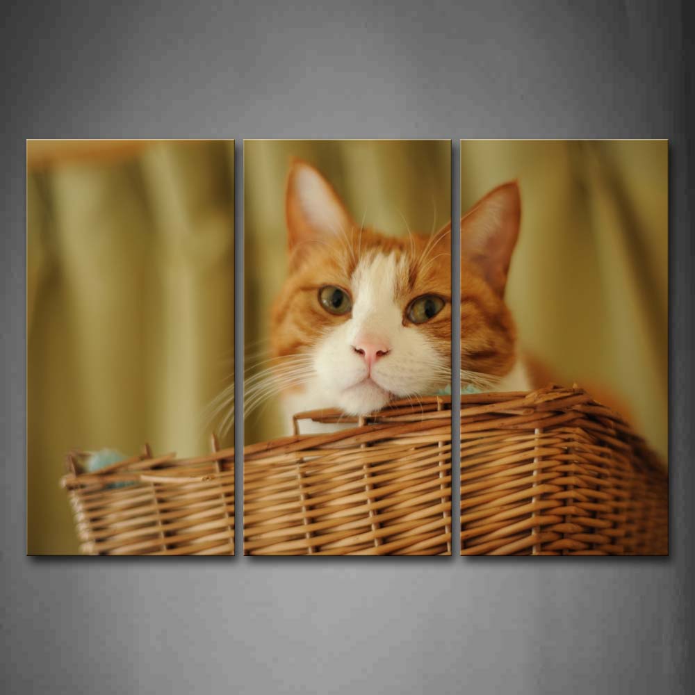 Yellow Cat In Basket  Wall Art Painting Pictures Print On Canvas Animal The Picture For Home Modern Decoration 