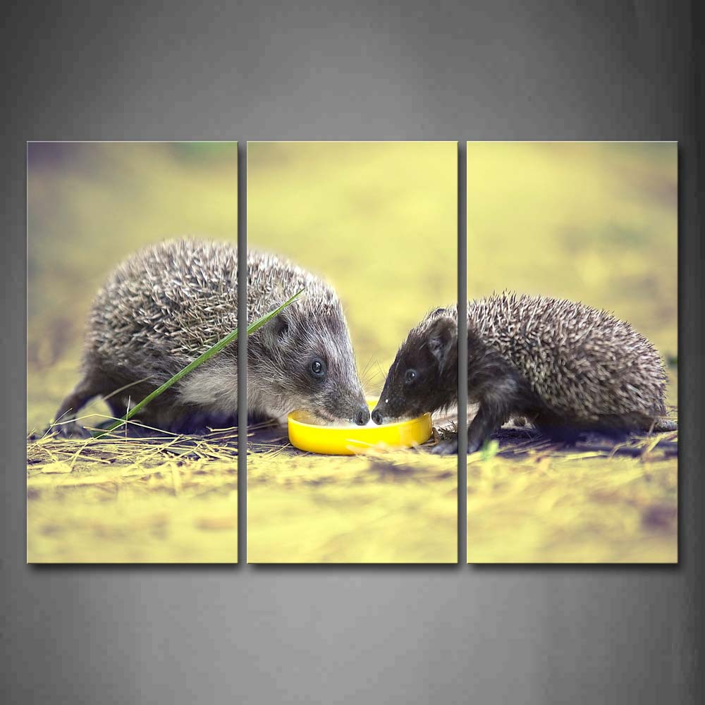 Two Hedgehogs Eat Food On Dry Grassland Wall Art Painting Pictures Print On Canvas Animal The Picture For Home Modern Decoration 