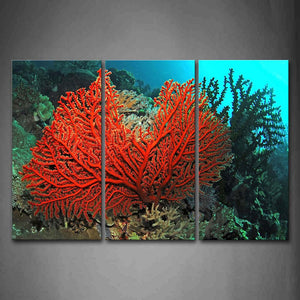 Bottom Of Sea Scenery Coral Red Wall Art Painting The Picture Print On Canvas Animal Pictures For Home Decor Decoration Gift 