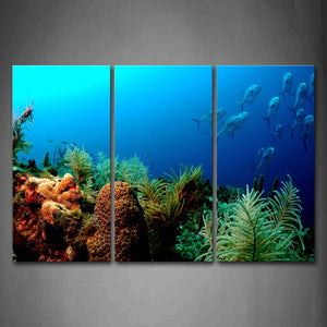 Blue Bottom Of Sea A Group Of Fishes  Wall Art Painting Pictures Print On Canvas Animal The Picture For Home Modern Decoration 