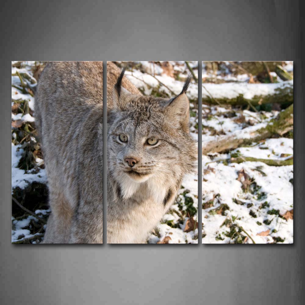 Lynx Stand In Forest Snow Winter Wall Art Painting The Picture Print On Canvas Animal Pictures For Home Decor Decoration Gift 