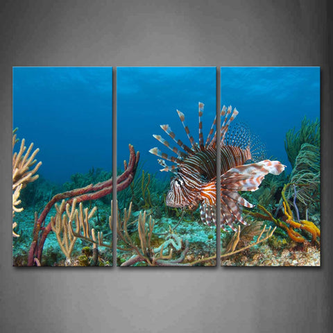 Lion Fish In Blue Sea Bottom Of Sea Scenery Wall Art Painting Pictures Print On Canvas Animal The Picture For Home Modern Decoration 