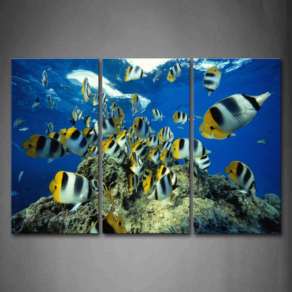 Beautiful Fishes Near Sea Surface Rock Wall Art Painting Pictures Print On Canvas Animal The Picture For Home Modern Decoration 