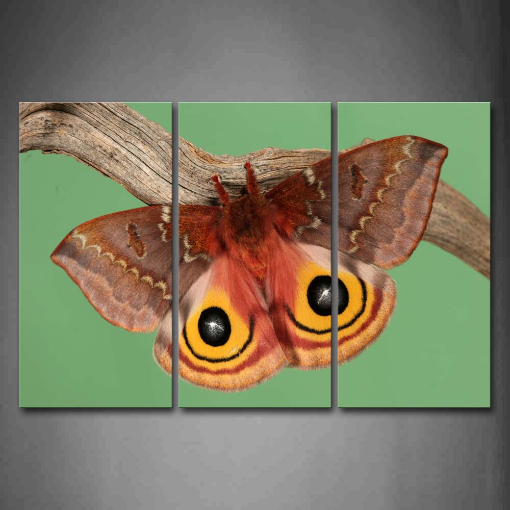 Pink Yellow Moth Stop On Dry Branch Wall Art Painting The Picture Print On Canvas Animal Pictures For Home Decor Decoration Gift 