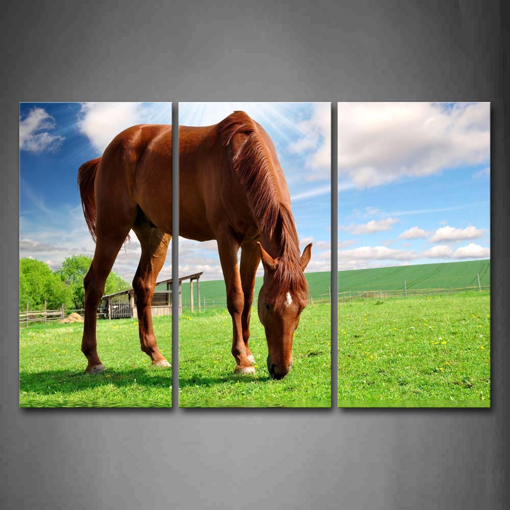 Yellow Horse Eat Grass In Meadow Fence House Wall Art Painting Pictures Print On Canvas Animal The Picture For Home Modern Decoration 