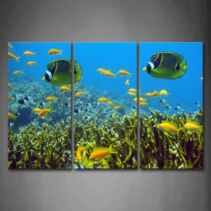 Bottom Of Sea Yellow And Green Fishes Wall Art Painting The Picture Print On Canvas Animal Pictures For Home Decor Decoration Gift 