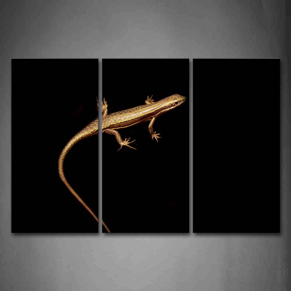 Lizard Crawl In Black Background Wall Art Painting Pictures Print On Canvas Animal The Picture For Home Modern Decoration 