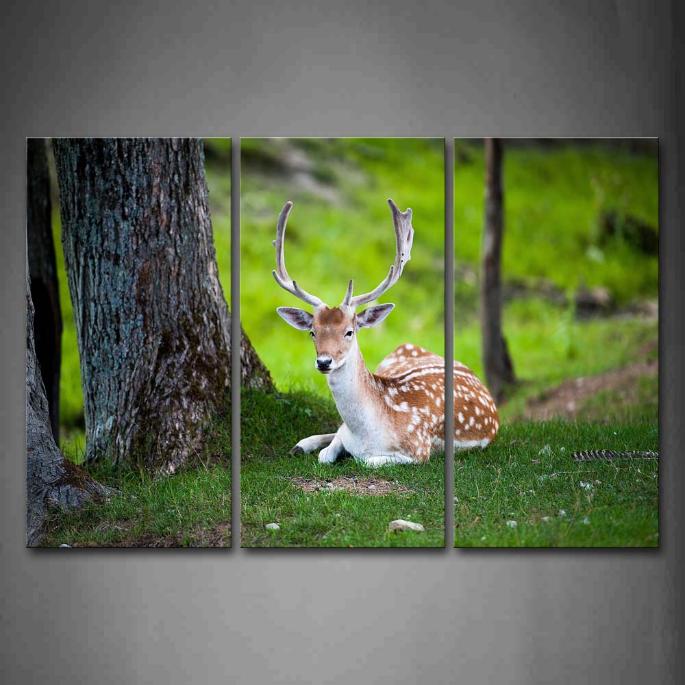 Deer Sit Under Tree On Lawn Wall Art Painting Pictures Print On Canvas Animal The Picture For Home Modern Decoration 