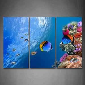 Blue Bottom Of Sea Sea Surface Colorful Fishes Wall Art Painting The Picture Print On Canvas Animal Pictures For Home Decor Decoration Gift 