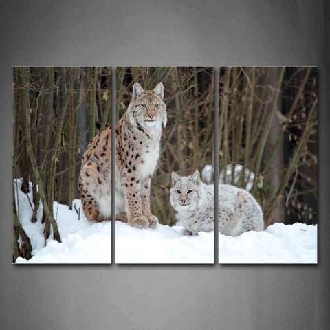 Two Lynxs Sit On Snowfield Tree Winter Wall Art Painting Pictures Print On Canvas Animal The Picture For Home Modern Decoration 