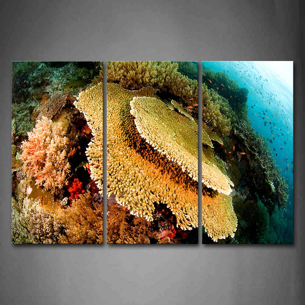 Bottom Of Sea Fishes Sea Surface Wall Art Painting The Picture Print On Canvas Animal Pictures For Home Decor Decoration Gift 