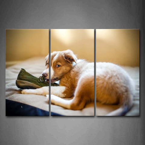 Yellow Dog Lie On Blanket And Bite A Shoe Wall Art Painting Pictures Print On Canvas Animal The Picture For Home Modern Decoration 