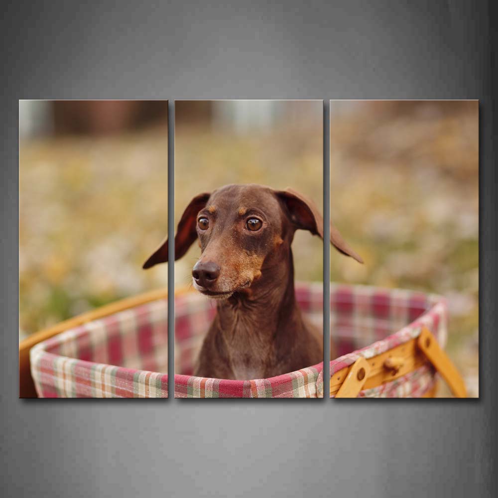 Brown Dog Sit In Cloth Basket Wall Art Painting The Picture Print On Canvas Animal Pictures For Home Decor Decoration Gift 