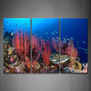 Blue Bottom Of Sea Scenery Colorful Fishes Wall Art Painting The Picture Print On Canvas Animal Pictures For Home Decor Decoration Gift 