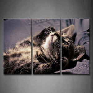 Cat Lie On Blue Pants Wall Art Painting Pictures Print On Canvas Animal The Picture For Home Modern Decoration 