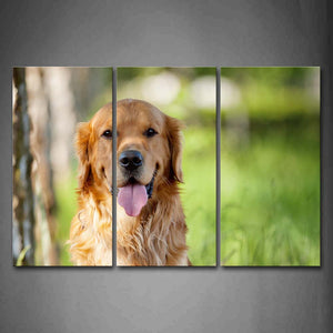 Golden Retriever Sit On Grass Portrait Wall Art Painting Pictures Print On Canvas Animal The Picture For Home Modern Decoration 