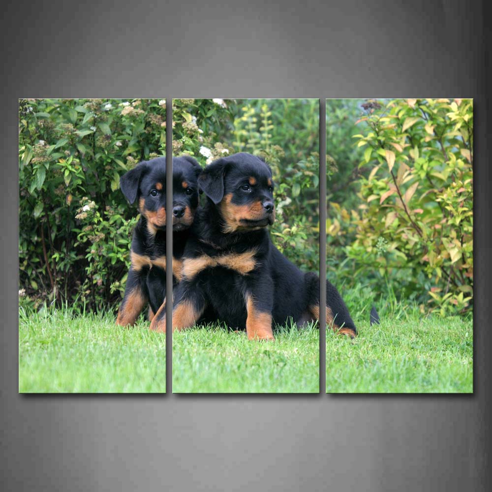 Two Rottweilers Sit On Grassland Tree Wall Art Painting The Picture Print On Canvas Animal Pictures For Home Decor Decoration Gift 