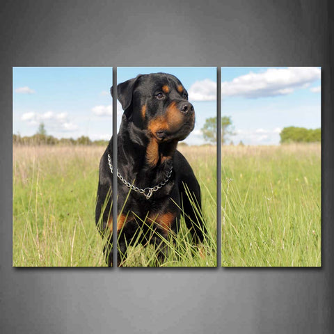 Rottweiler Stand In Grass Tree Cloud Wall Art Painting Pictures Print On Canvas Animal The Picture For Home Modern Decoration 