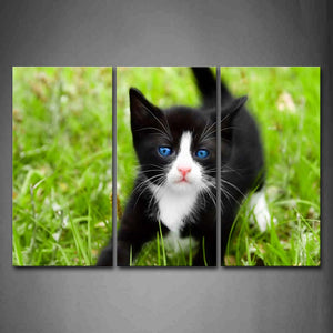 Black And White Cat Play In Grass Wall Art Painting The Picture Print On Canvas Animal Pictures For Home Decor Decoration Gift 