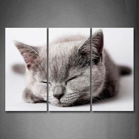 Gray Cat Bend Over On White Land Wall Art Painting Pictures Print On Canvas Animal The Picture For Home Modern Decoration 