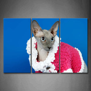 Gray Cat Wear Cloth In Blue Background Wall Art Painting The Picture Print On Canvas Animal Pictures For Home Decor Decoration Gift 