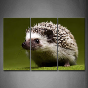 Hedgehog Stand On Green Land Wall Art Painting Pictures Print On Canvas Animal The Picture For Home Modern Decoration 