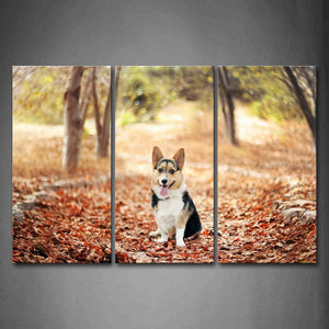 Corgi Sit On Path Between Trees Fallen Leafs Wall Art Painting The Picture Print On Canvas Animal Pictures For Home Decor Decoration Gift 