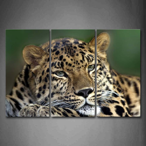 Leopard Bend Over Portrait Wall Art Painting Pictures Print On Canvas Animal The Picture For Home Modern Decoration 