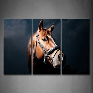 Horse Head At Night Portrait Wall Art Painting The Picture Print On Canvas Animal Pictures For Home Decor Decoration Gift 