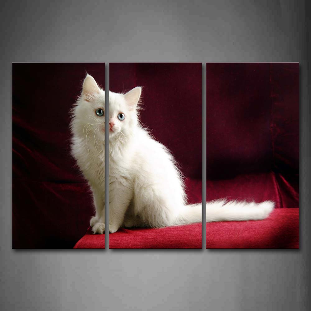 White Cat Sit On Red Blanket Wall Art Painting The Picture Print On Canvas Animal Pictures For Home Decor Decoration Gift 