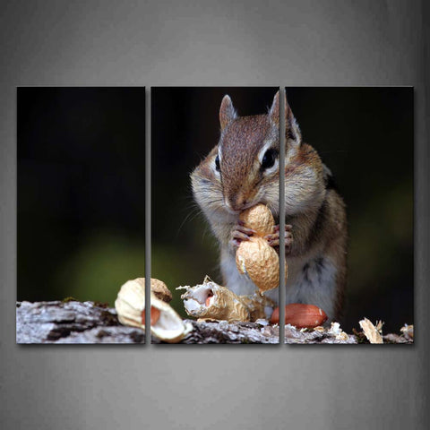 Chipmunk Sit And Eat Peanut Wall Art Painting Pictures Print On Canvas Animal The Picture For Home Modern Decoration 