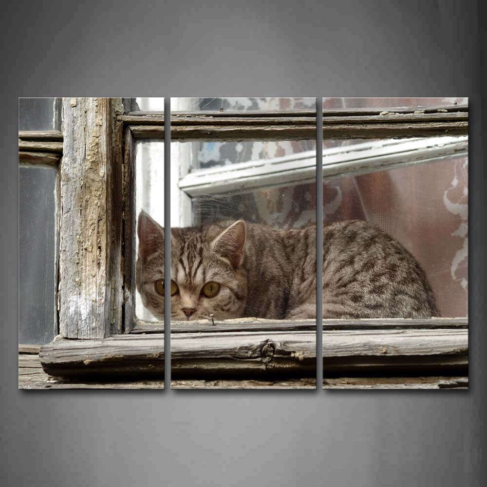 Cat Stand At The Back Of Wood Window Wall Art Painting Pictures Print On Canvas Animal The Picture For Home Modern Decoration 