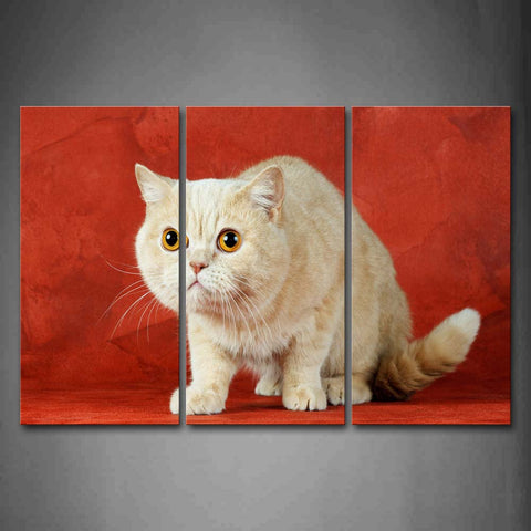 Cute Cat Sit In Pink Background Wall Art Painting The Picture Print On Canvas Animal Pictures For Home Decor Decoration Gift 