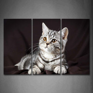 Black And White Cat Lie On Dark Gray Cloth Wall Art Painting Pictures Print On Canvas Animal The Picture For Home Modern Decoration 