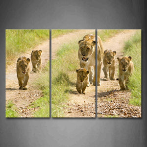 Mother Lion With Cubs Walk On Path Grass Wall Art Painting The Picture Print On Canvas Animal Pictures For Home Decor Decoration Gift 