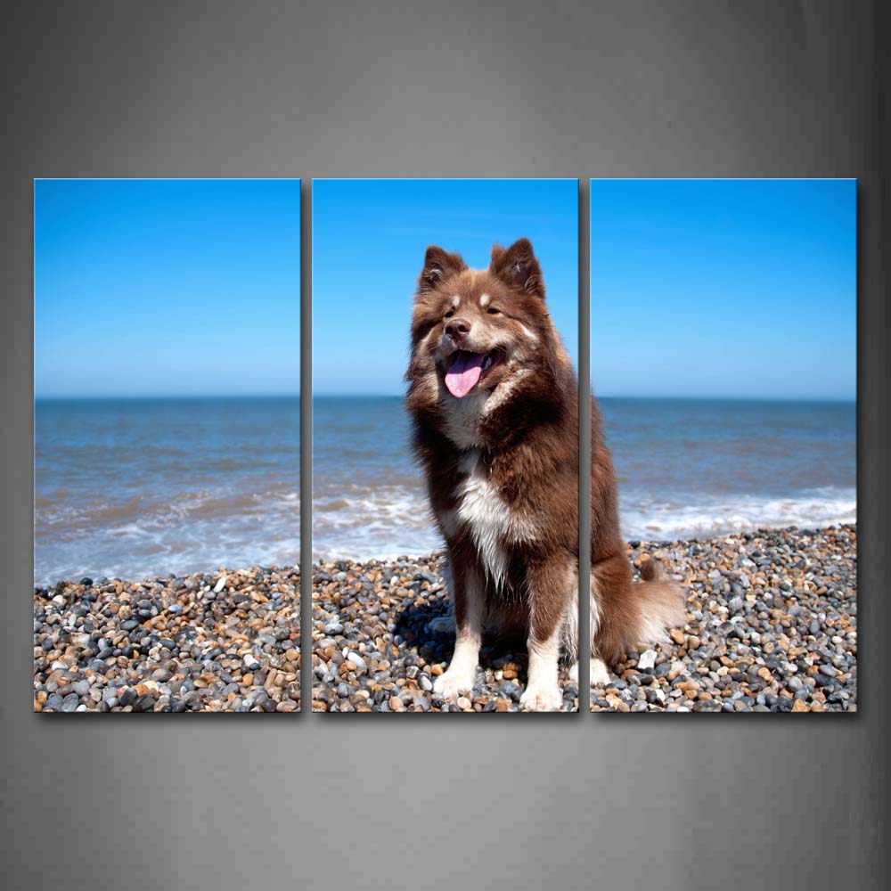 Brown Dog Sit On Stones Near Beach Wall Art Painting Pictures Print On Canvas Animal The Picture For Home Modern Decoration 