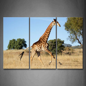 Giraffe Run On Dry Grass Trees Wall Art Painting The Picture Print On Canvas Animal Pictures For Home Decor Decoration Gift 